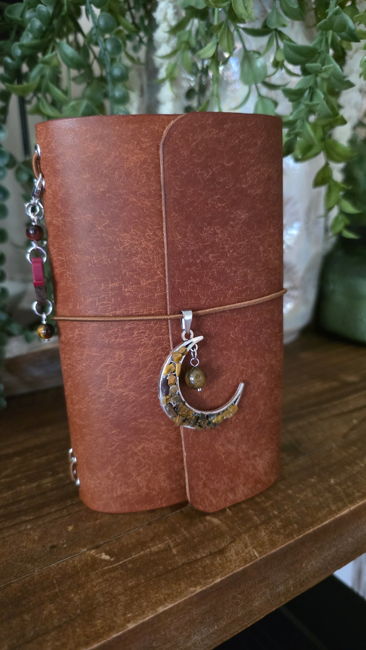 The Moonkeeper Tigers Eye (passport)