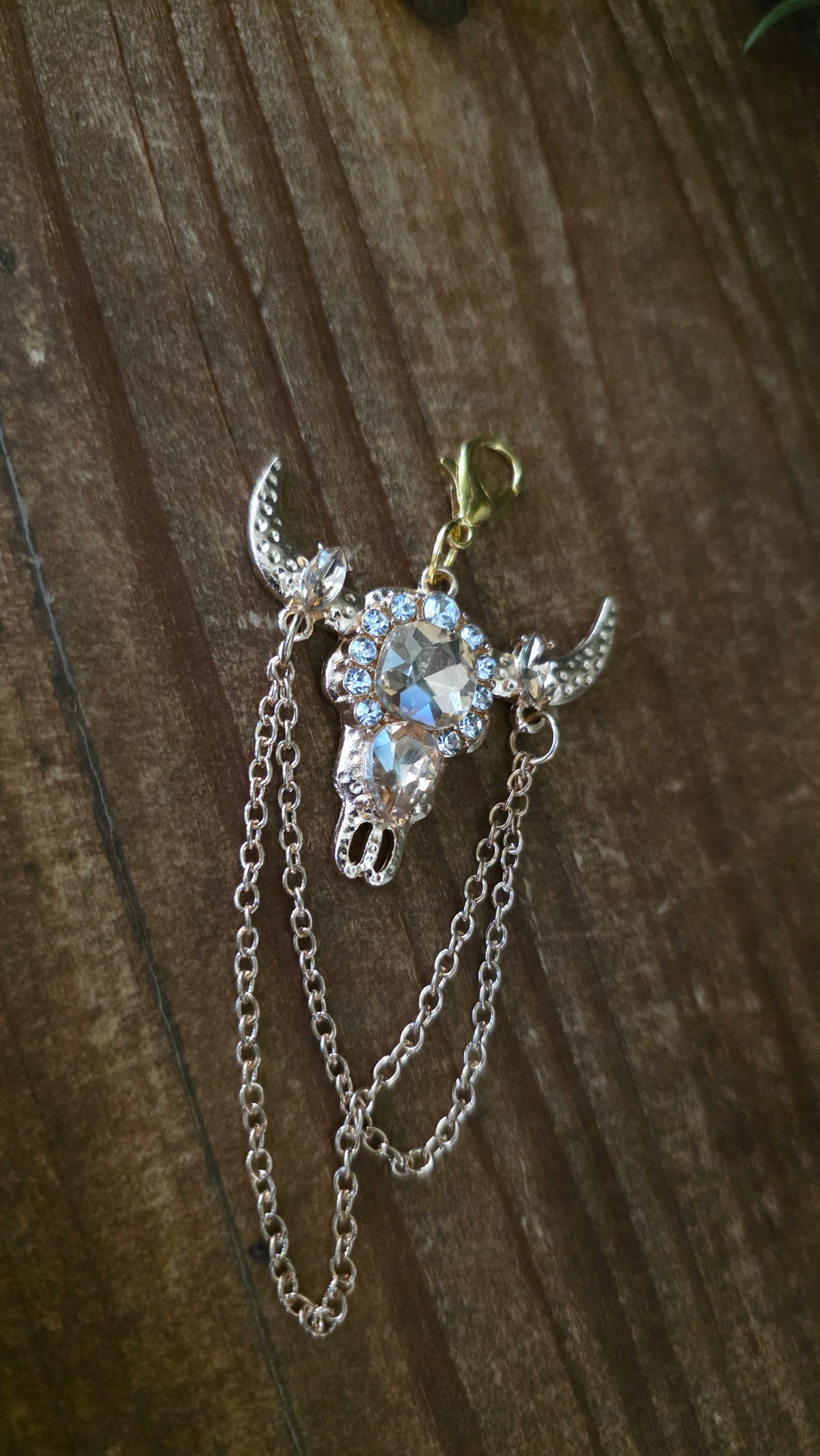 Jamie Custom Journal Jewelry Set & Cow Skull